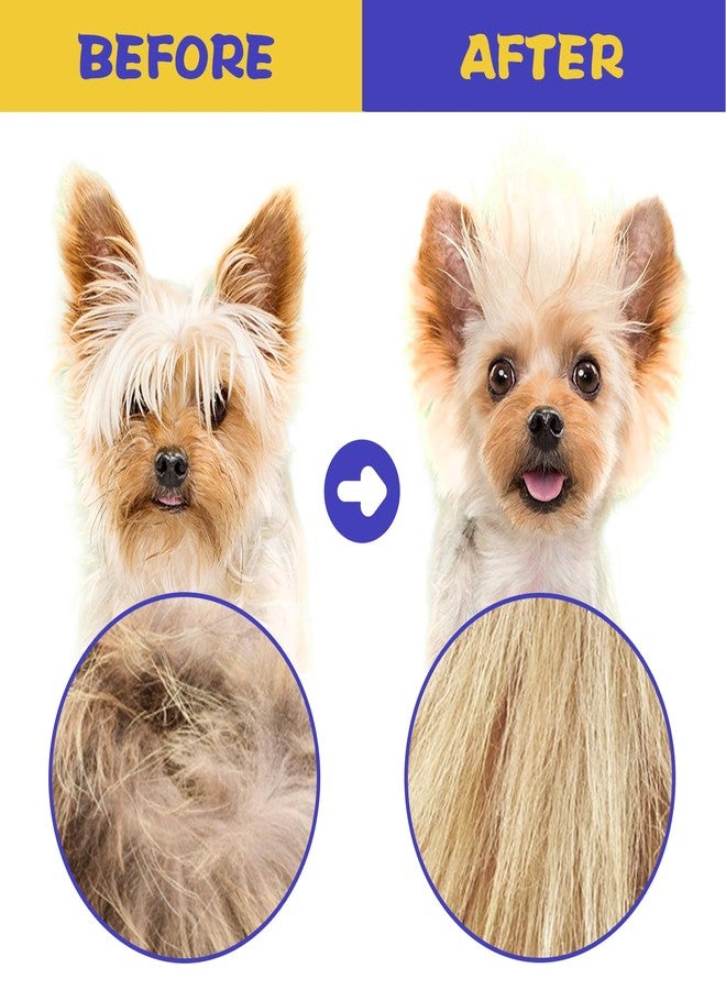 CAPHONT Flea Comb for Cats Dogs, 6 Pack Pet Lice Comb Set Pet Grooming Pets for Small, Medium & Large Pets (Blue) - Image 5